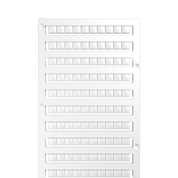 Article image 1609820000