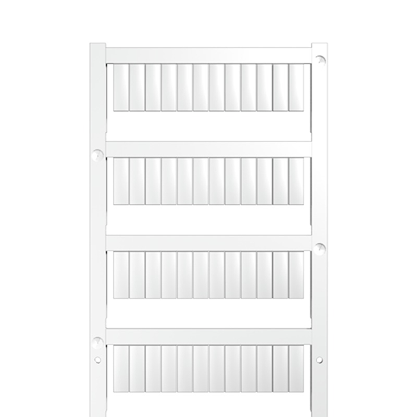 Article image 1609880000