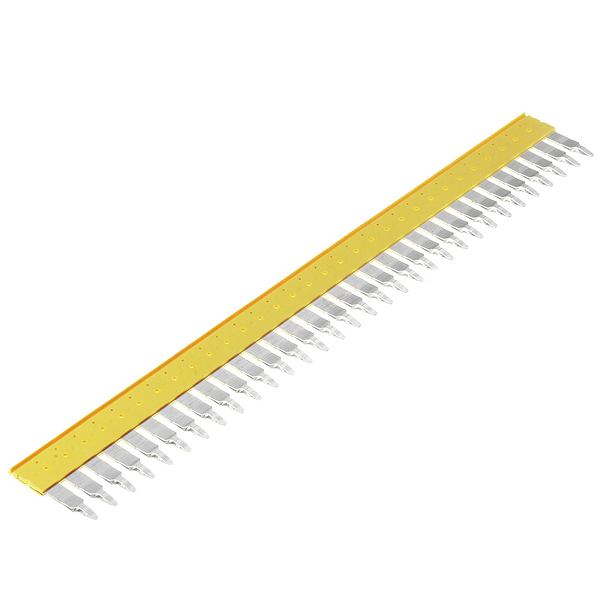 Article image 1733640000