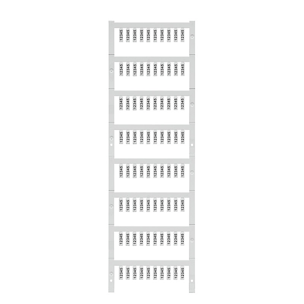 Article image 1906830000