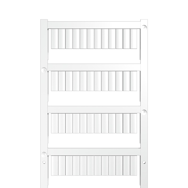 Article image 1768090000