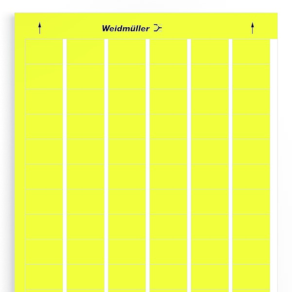 Article image 1724161687