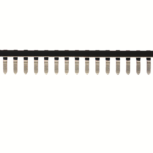 Article image 1635120000