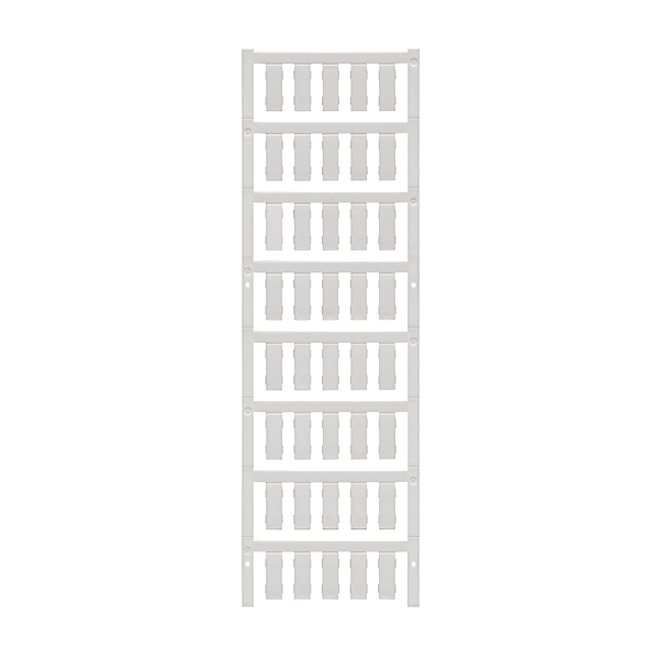Article image 1766650000