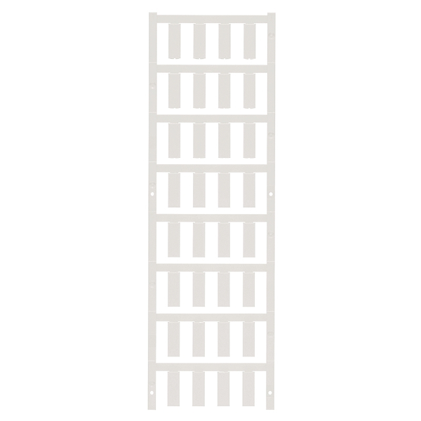 Article image 1918990000