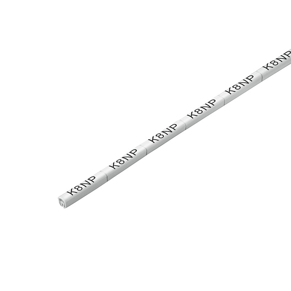 Article image 1899240000