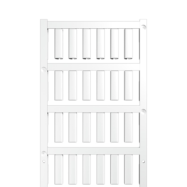 Article image 1919080000