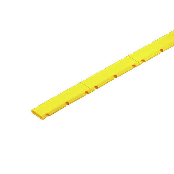Article image 1886541687