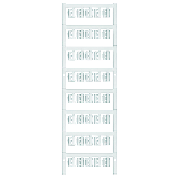 Article image 1752720000