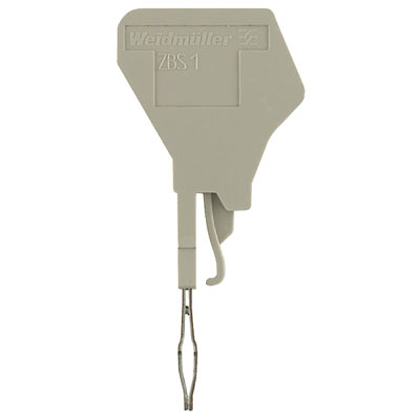 Article image 1764550000