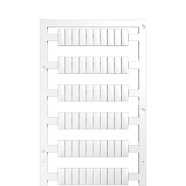Article image 1927510000