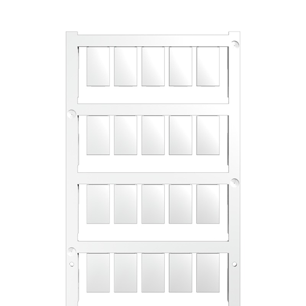 Article image 1856700000