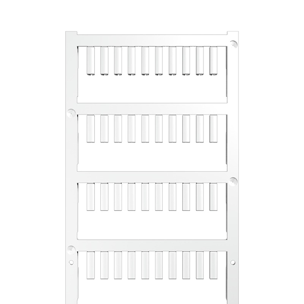 Article image 1919290000