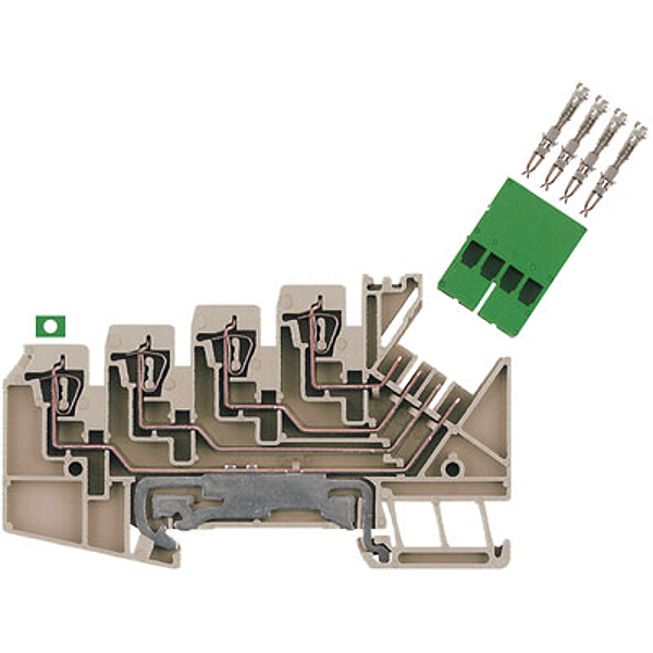 Article image 1698170000