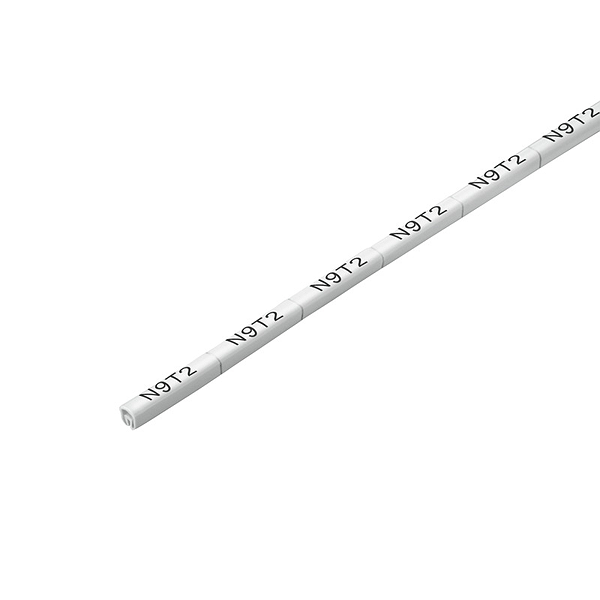 Article image 1873390000