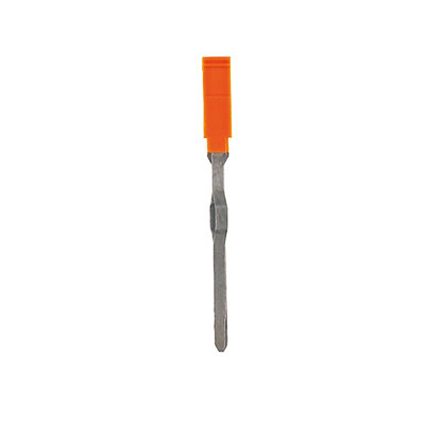 Article image 1720700000