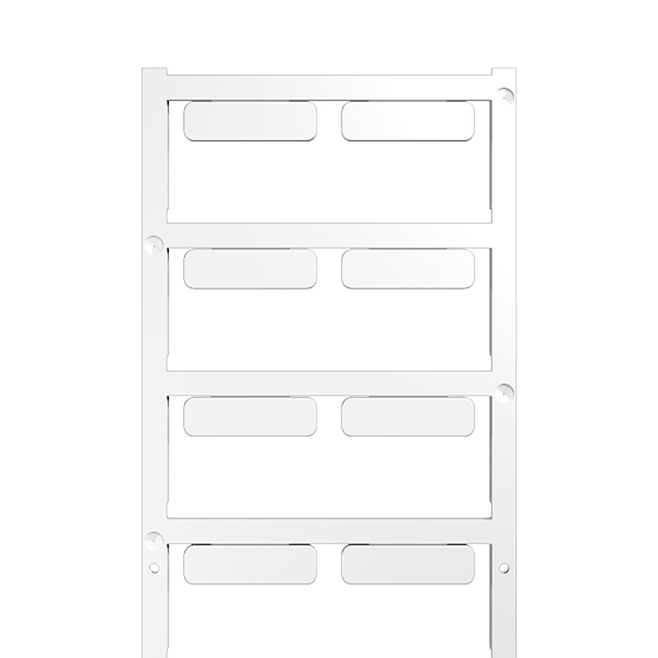 Article image 1699830000