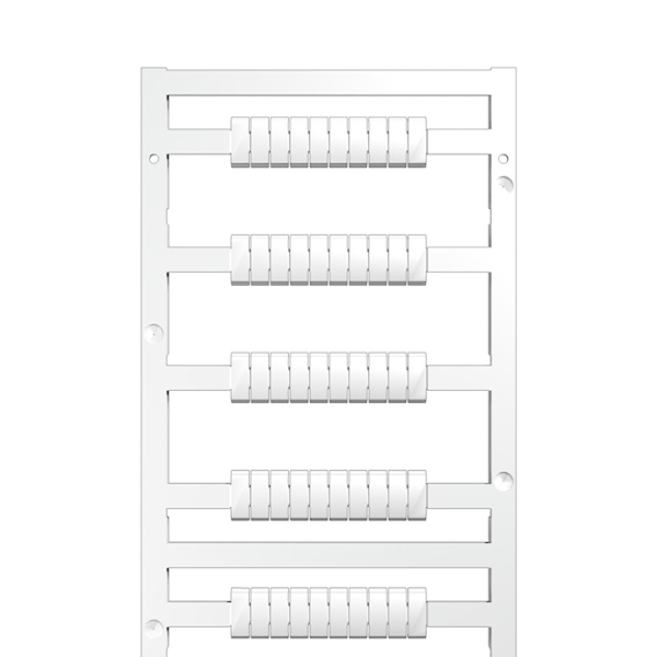 Article image 1877730000