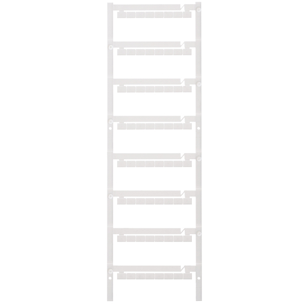 Article image 1877660000