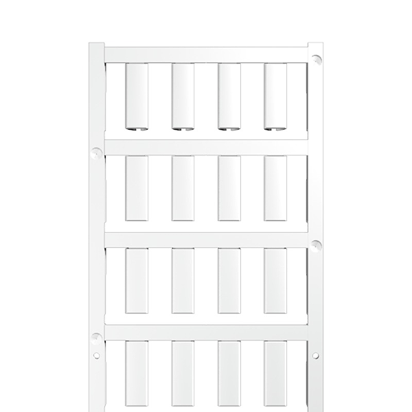 Article image 1730570001