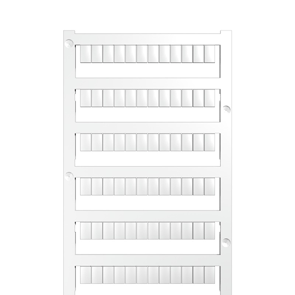 Article image 1640740000