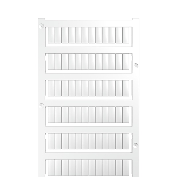 Article image 1609860000