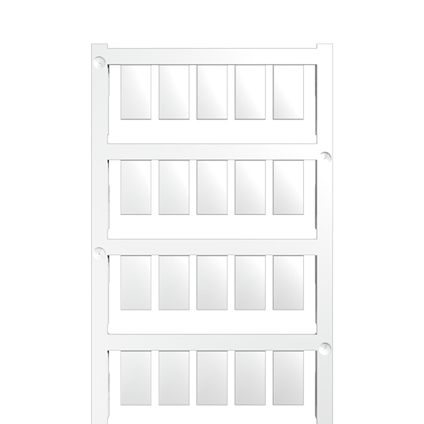 Article image 1724760000