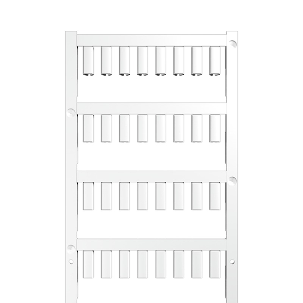 Article image 1718490001