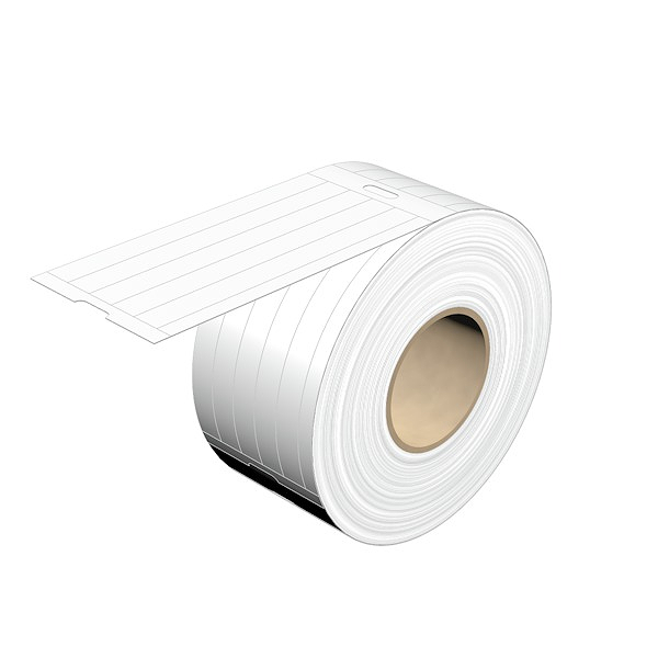 Article image 1429420000