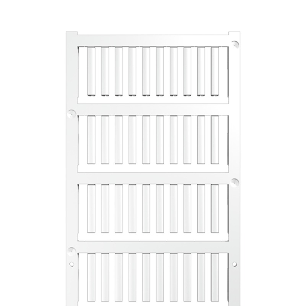 Article image 1918580000