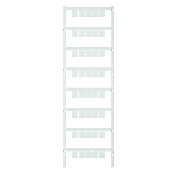 Article image 1856770000