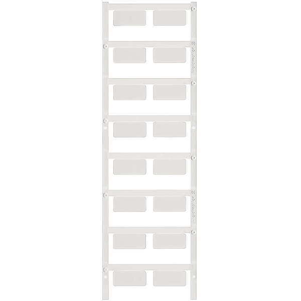 Article image 1699890000