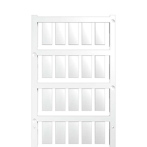 Article image 1856720000