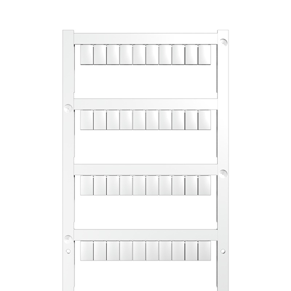 Article image 1716820000