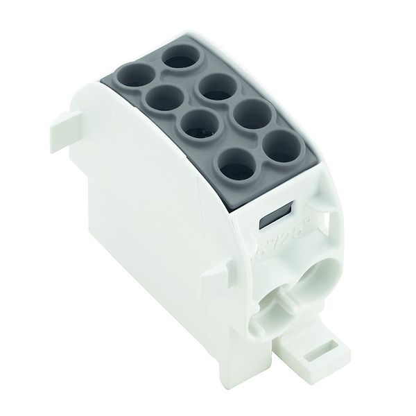 Article image 1561630000