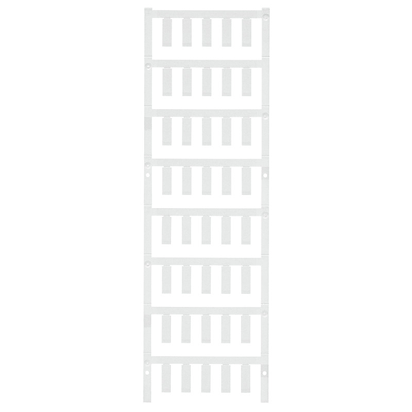 Article image 1880080000