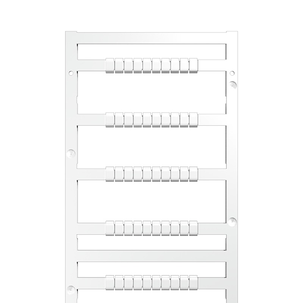 Article image 1877690000
