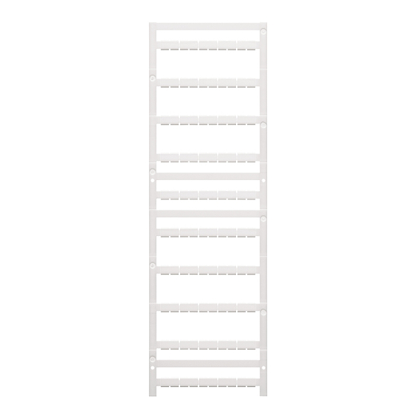 Article image 1250080000