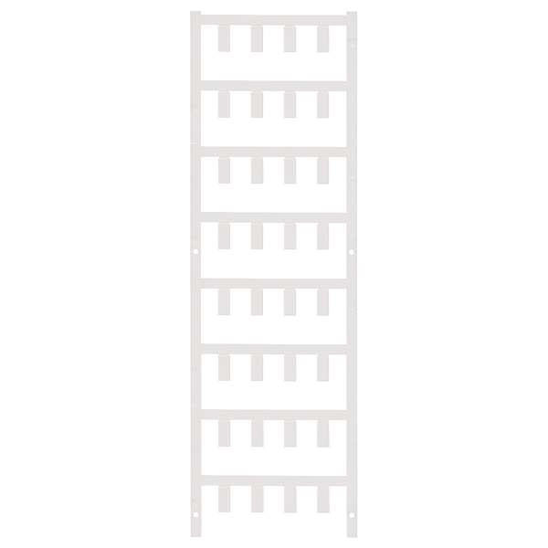 Article image 1919610000