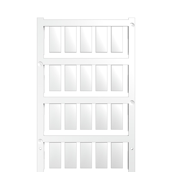 Article image 1609940000