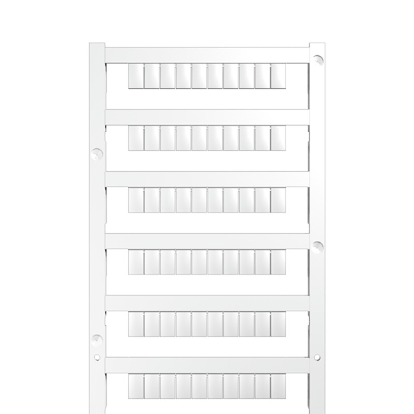 Article image 1640750000