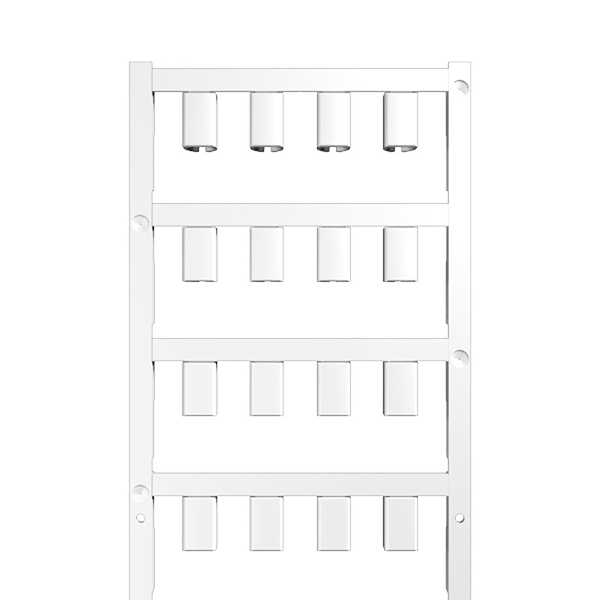 Article image 1746040001