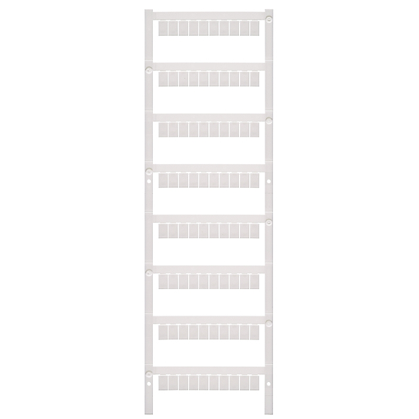 Article image 1716830000