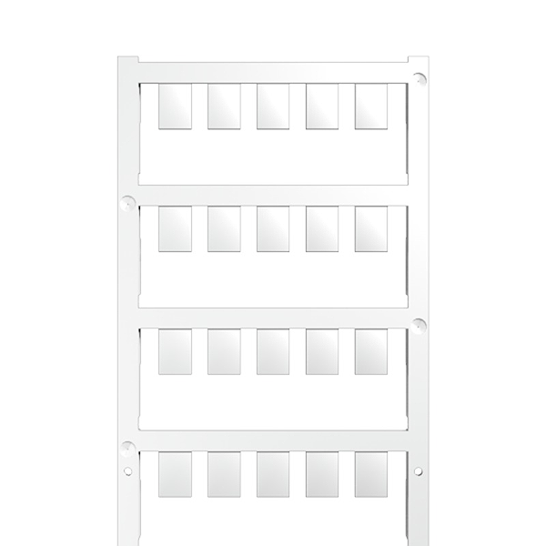 Article image 1897570000