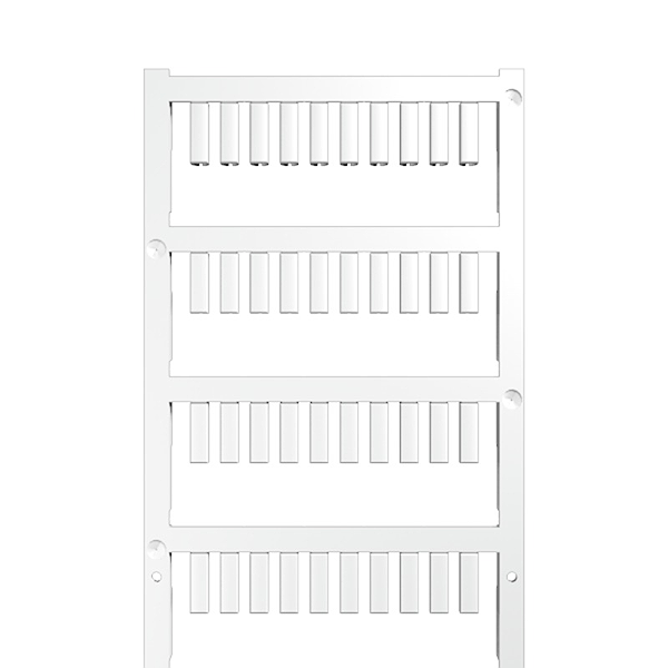Article image 1919490000