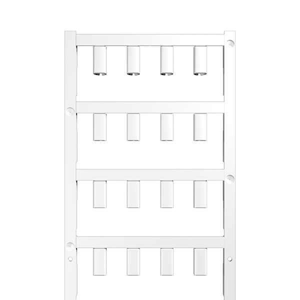Article image 1746030001