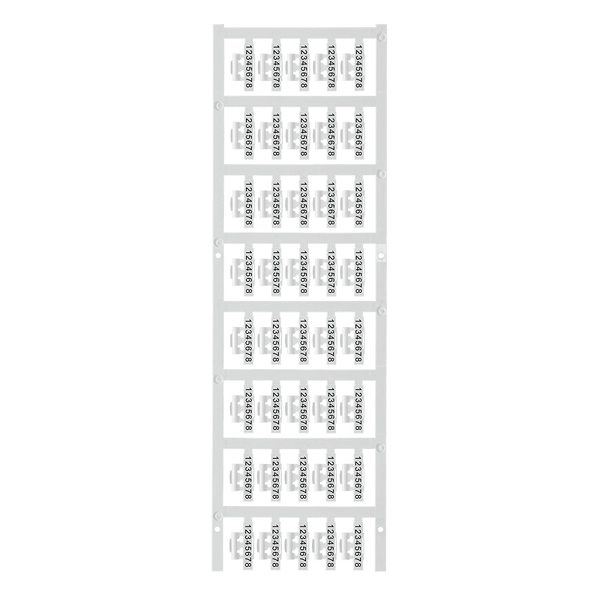 Article image 1813230000