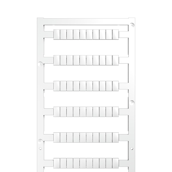 Article image 1951870000