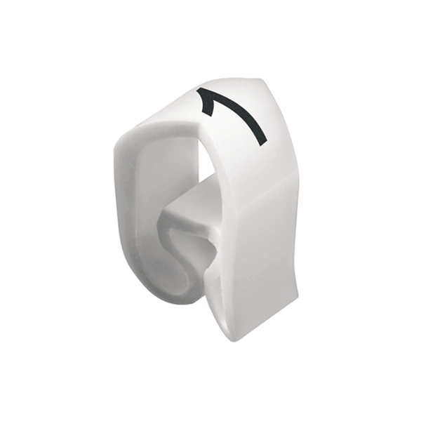 Article image 1912800000