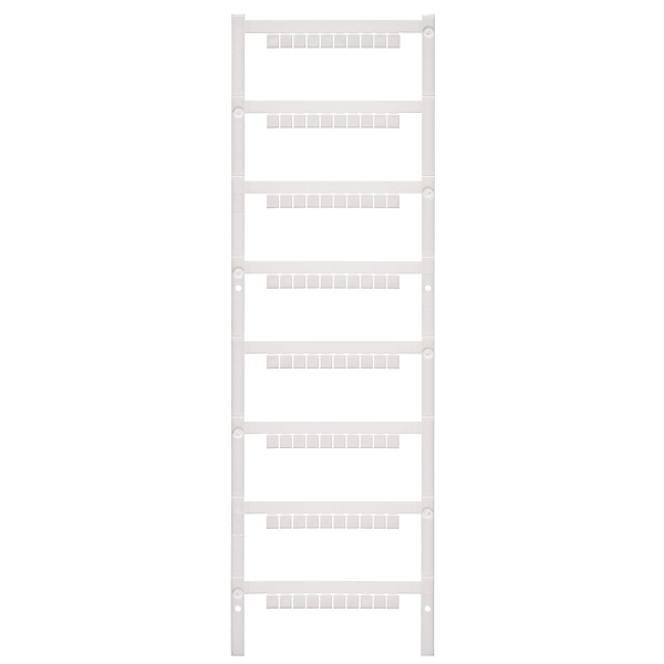 Article image 1716810000